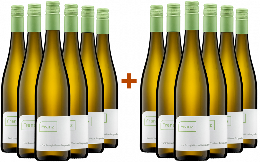 6+6 2024 Riesling trocken Biowein Bio Bio - Weingut Franz