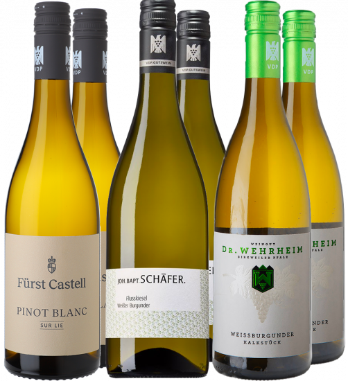 VDP Weißburgunder-Paket - WirWinzer Select