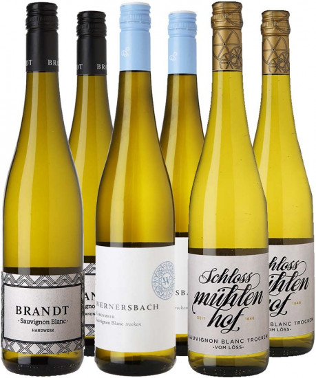 Sauvignon Blanc Entdecker-Paket 