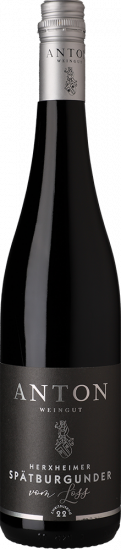 2022 Herxheimer Spätburgunder trocken - Weingut Anton