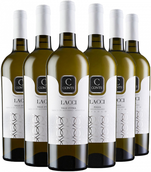 Conte Wine and Maker Weißwein-Paket - Conte Wine and Maker