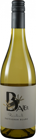 2025 Sauvignon Blanc Russbach trocken Bio - Weingut Baier