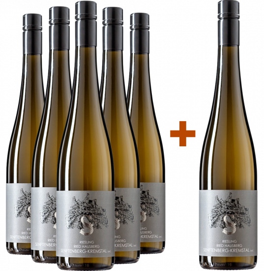 5+1 Paket Ried Hausberg Riesling Senftenberg-Kremstal DAC trocken - Andrea Schenter - Andrea Schenter