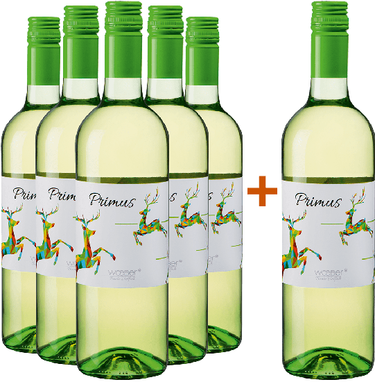 5+1 PRIMUS Jungwein - Weingut Wöber
