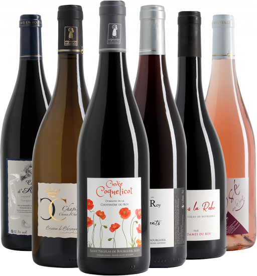 Domaine de la Chopinière du Roy Kennenlern-Paket - Domaine de la Chopinière du Roy