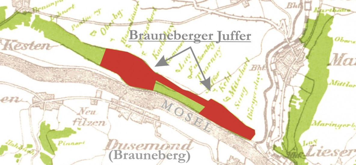 2018 Brauneberger Juffer Riesling Trockenbeerenauslese 0,375L - Weingut Martin Conrad 