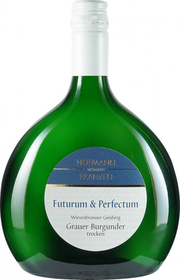 2023 Wiesenbronner Geisberg Grauer Burgunder Spätlese trocken Bio - Weinbau Hofmann