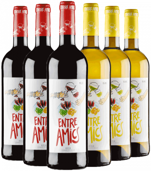 Bouquet d'Alella Kennenlern-Paket Alella DO Bio - Bouquet d'Alella