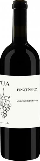 2023 Pinot Nero Vigneti delle Dolomiti IGP - Travino Special Valsugana