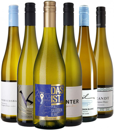 Sauvignon Blanc Entdecker-Paket