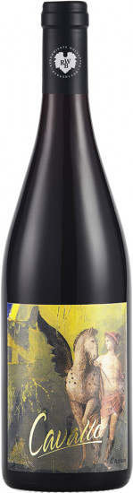 2017 Cavallo- Pinot Noir trocken - Weingut Giefing