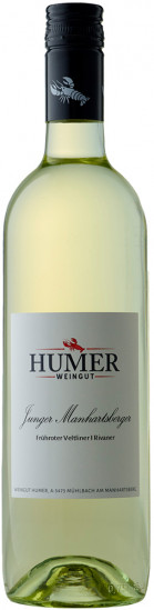 2024 Junger Manhartsberger trocken - Weingut Humer