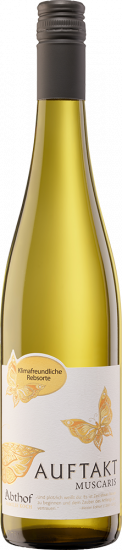 2024 Auftakt Muscaris lieblich - Weingut Abthof
