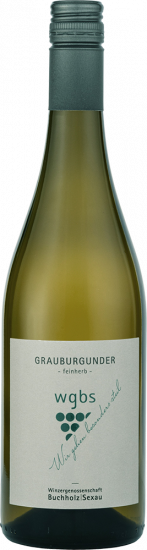 2023 Grauer Burgunder Kabinett feinherb - Winzergenossenschaft Buchholz/Sexau