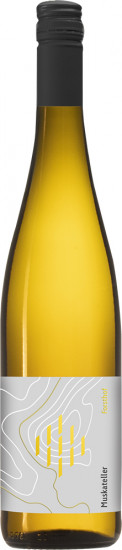 2024 Muskateller halbtrocken Bio - Weingut Forsthof