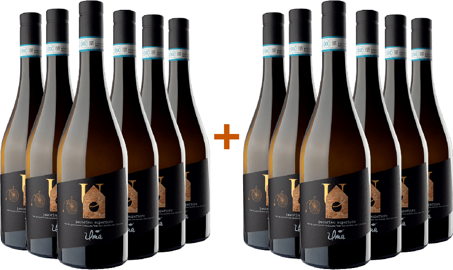 6+6 Pecorino Superiore Abruzzo DOC Bio Bio - Uma Casanatura