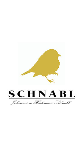 2025 Weinviertel DAC - Grüner Veltliner trocken - Weingut Andreas Schnabl