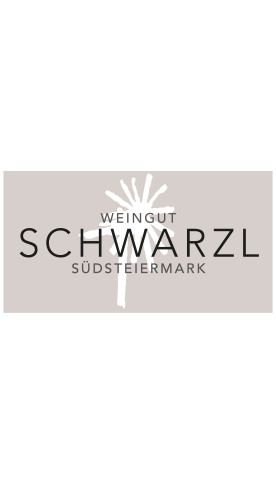 2022 Blauer Zweigelt - Weingut Johannes Schwarzl