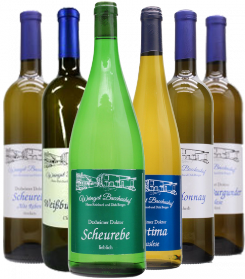 Gemischtes Weinpaket - Weingut Bacchushof