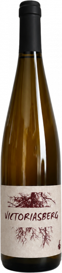 2023 Pinot Noir Victoriasberg trocken - Domaine Louis Speitel