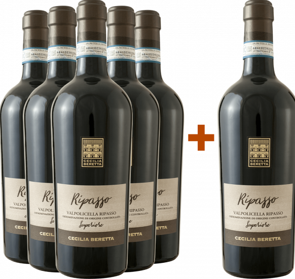 5+1 Paket Valpolicella Ripasso Superiore DOC - WirWinzer Select Teck