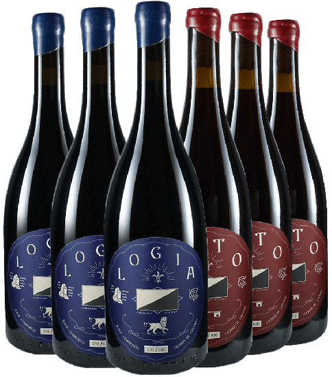 Kennenlernpaket Consulado Oscuro (DOP Cebreros) - Consulado Oscuro