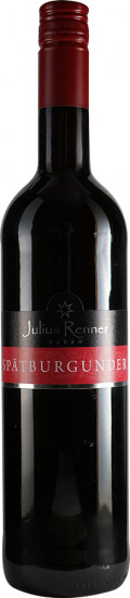 2023 Spätburgunder Rotwein lieblich - Weingut Julius Renner