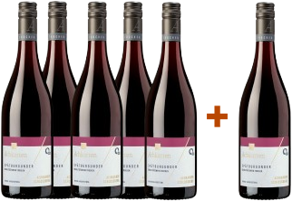 5+1 Achkarrer Winzer Spätburgunder QbA trocken - Winzergenossenschaft Achkarren