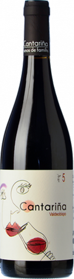 2021 Cantariña 5 Valdeobispo Bierzo DO trocken Bio - Cantariña Vinos de Familia
