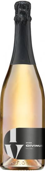 2021 Civinus Blanc de Blanc Sekt brut - Weingut Franz