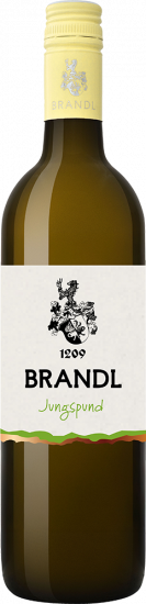 2025 Jungspund Rivaner trocken - Weinhof Brandl