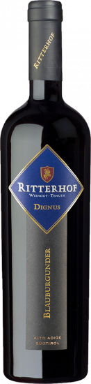 2021 Dignus Blauburgunder Alto Adige DOC trocken - Ritterhof Weingut - Tenuta