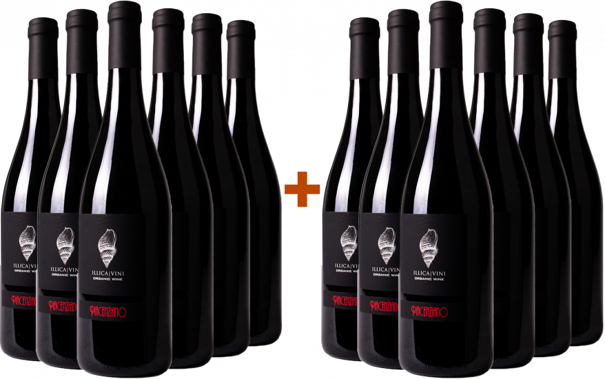 6+6 Piacenziano Gutturnio DOC Bio - Azienda Vitivinicola Illica