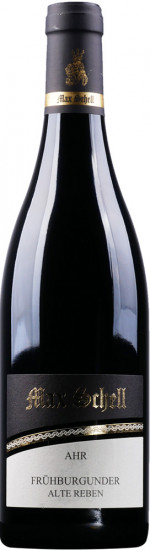 2023 Frühburgunder Alte Reben trocken - Weingut Max Schell