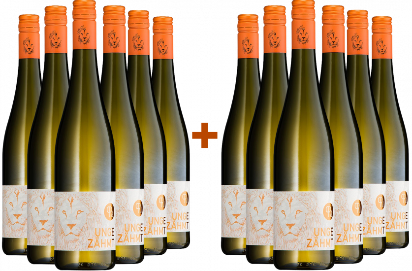 6+6 Ungezähmt trocken - Burgundercuvée Grauburgunder & Chardonnay - Weingut Rummel