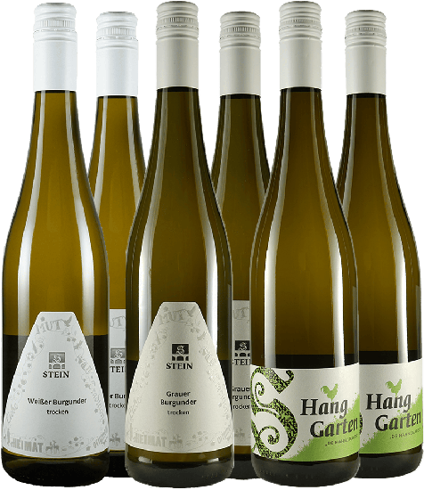 Weißweinpaket trocken - Weingut Karl Stein