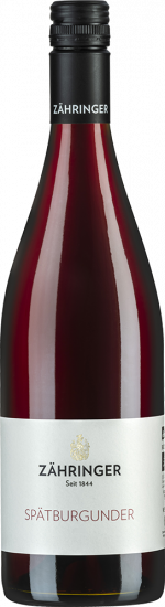 2022 Spätburgunder trocken Bio - Weingut Zähringer