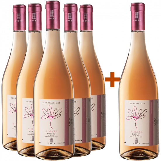 5+1 Paket Terredifiori A Mare Rosé Toscana IGP - Tenute Costa
