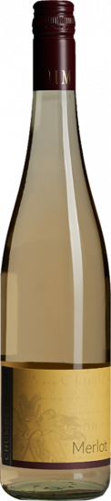 2024 Merlot blanc de noir feinherb - Weingut Chumbderhof 