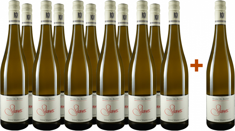11+1 Spargel-Paket Grüner Silvaner Bio - Weingut Brüder Dr. Becker