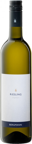 2025 Riesling Kalvarienberg trocken Bio - Weingut Bergmann