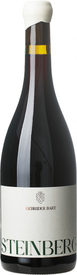 2019 STEINBERG trocken - Weingut Gebrüder Bart
