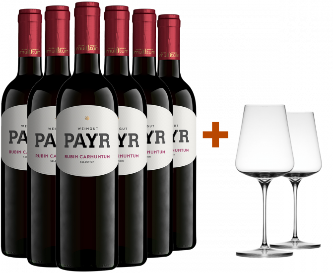 Zweigelt Rubin Carnuntum DAC ÖTW Gebietswein trocken Bio + 2 GRATIS Weingläser von UNO Glassworks Bio - Weingut Payr - Bio Weingut Robert Payr