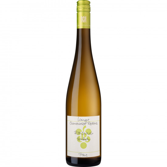2024 Rebholz Riesling trocken Bio - Weingut Rebholz