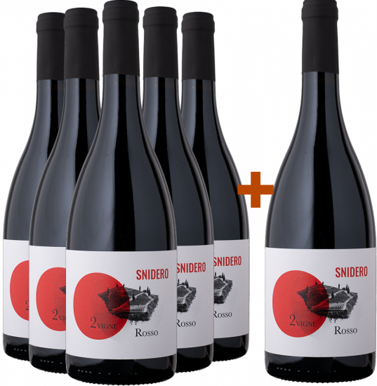 5+1 Paket Rosso Due Vigne Selezione BIO Bio - Snidero Vini