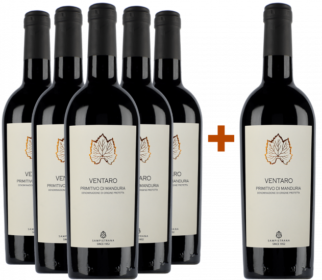 5+1 Paket Ventaro Primitivo di Manduria DOC - Cantina Sampietrana