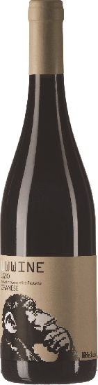 2022 WWWine Lazio IGP trocken - Federici