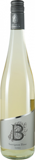 2023 Sauvignon blanc trocken - Weingut Burg