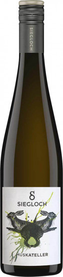 2024 Muskateller trocken - Weingut Siegloch