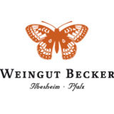 2023 Spätburgunder Blanc de Noir Kabinett feinherb Bio - Weingut Becker-Heißbühlerhof